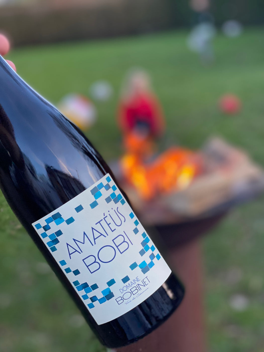 Domaine Bobinet, Amateus BOBI, Rouge, Cabernet Franc